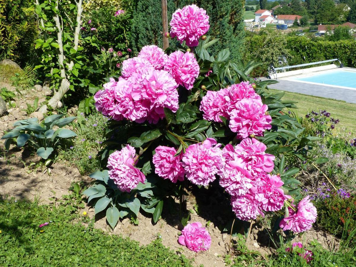 Montagnieu  Les Enselmes B&B 외부 사진